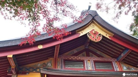 【佐賀縣】美到讓人忘記呼吸,祐德稻荷神社賞楓趣!