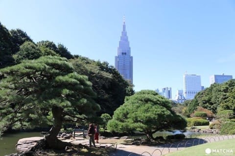 新宿