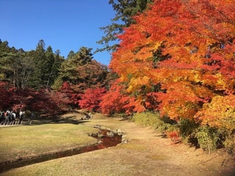 東北三縣 秋日充電の旅 (四) / 青森、岩手、秋田