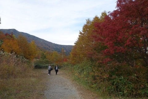 東北三縣 秋日充電の旅 (四) / 青森、岩手、秋田