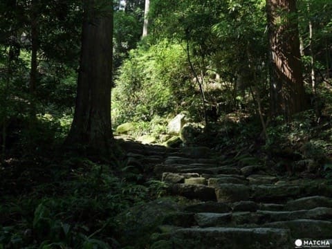 和歌山