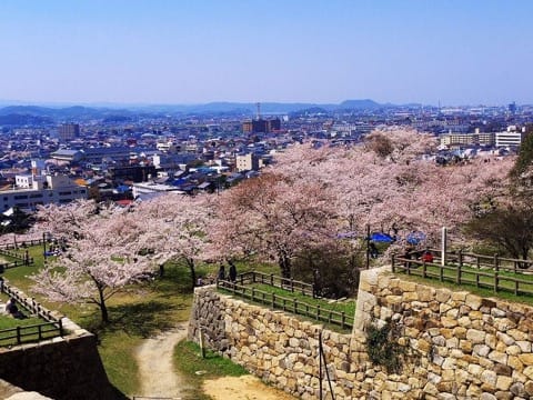 Hisamatsu Park