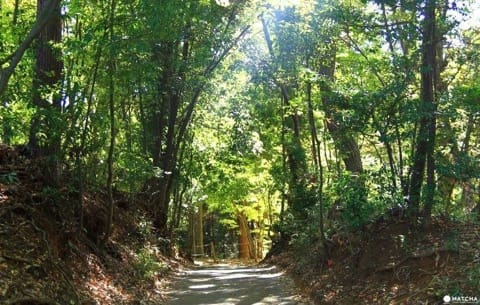 15 Studio Ghibli Related Places You Must Visit In Japan