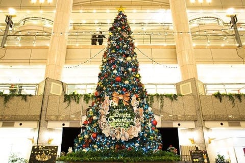 キラキラの夜景とツリーは必見! 横浜ランドマークタワーのクリスマス