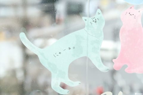 與貓咪共度時光,愛貓的你一定要來「貓咖啡 MOCHA 原宿店」