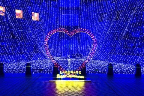 キラキラの夜景とツリーは必見! 横浜ランドマークタワーのクリスマス
