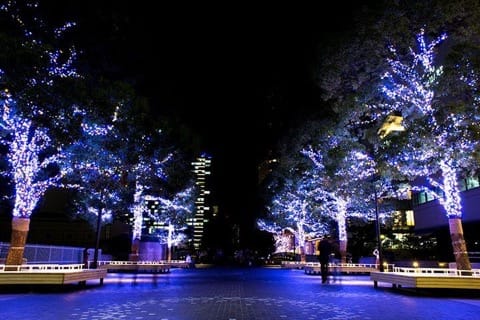 キラキラの夜景とツリーは必見! 横浜ランドマークタワーのクリスマス