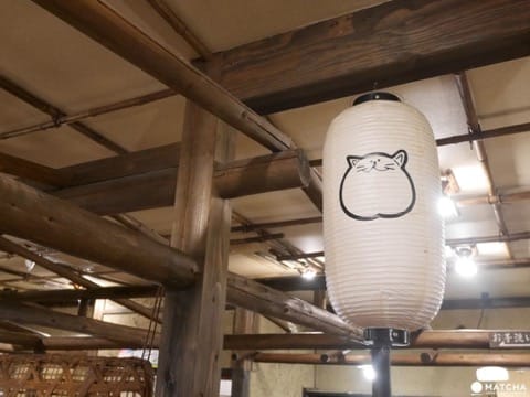 のらやnoraya貓咪烏龍麵