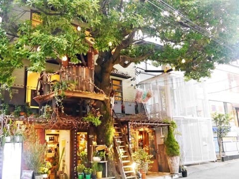 Les Grands Arbres樹屋