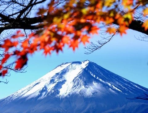 Fall in love with Mt Fuji