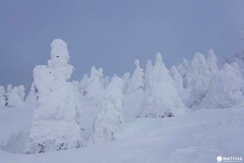 八甲田
