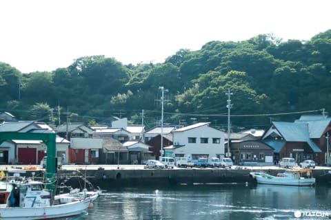 相岛(港风景)