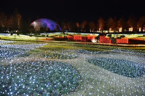 Tottori Hanakairo Flower Illumination