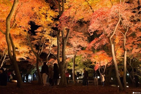 月の石もみじ公園