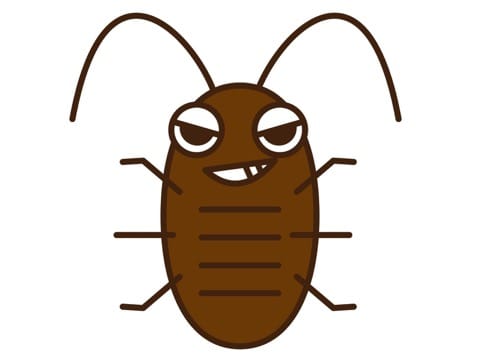 蟑螂