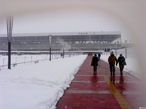 冬
