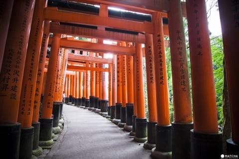 Kyoto Complete Guide: Travel Tips, Sightseeing, Festivals And More!