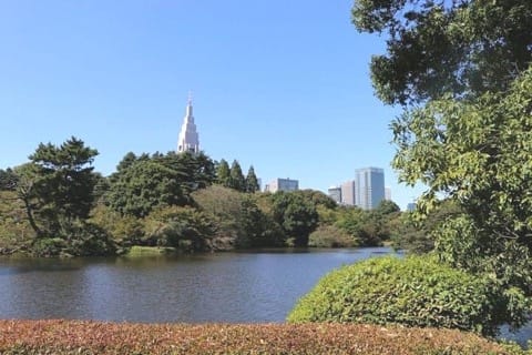From Morning To Night: 7 Things You Must Do In Shinjuku