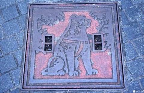 5 Places Related To Hachiko - Follow The Pawsteps Of The Famous Dog!