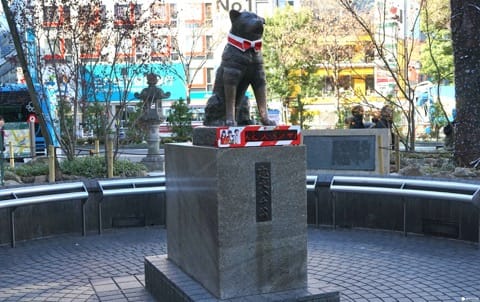 5 Places Related To Hachiko - Follow The Pawsteps Of The Famous Dog!