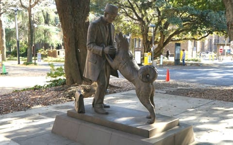 5 Places Related To Hachiko - Follow The Pawsteps Of The Famous Dog!