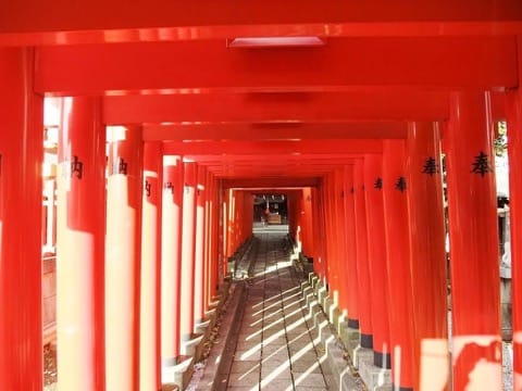 神啊請給我多一點好運吧!都內開運神社5選