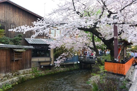 (c)京都市メディア支援センター