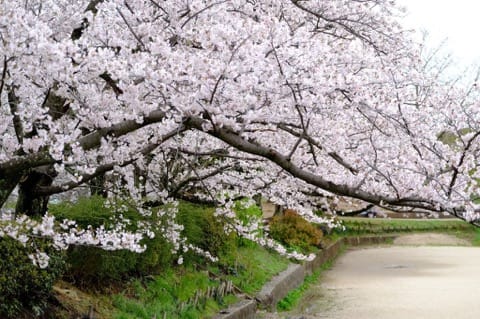 福岡_舞鶴公園