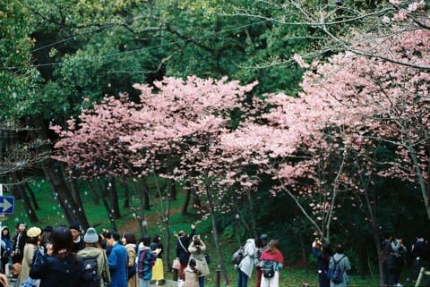 福岡西公園