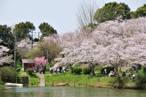 福岡甘木公園