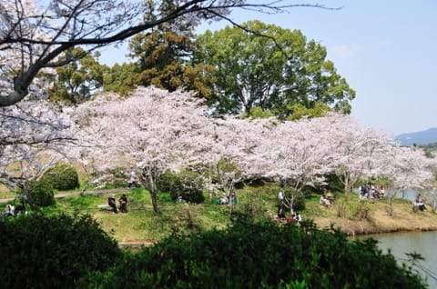 福岡甘木公園