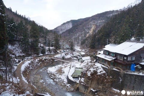 冬には温泉に入る姿も⁉長野県「地獄谷野猿公苑」へニホンザルに会いに行こう!