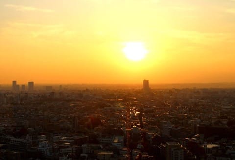 渋谷の近くにこんなところも?!世田谷線沿線の魅力的な観光スポット
