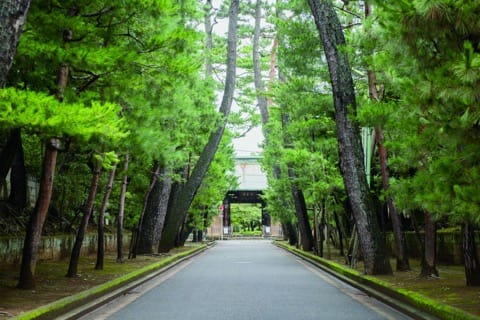 渋谷の近くにこんなところも?!世田谷線沿線の魅力的な観光スポット
