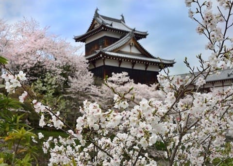 郡山城跡