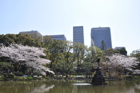 日比谷公園(桜)