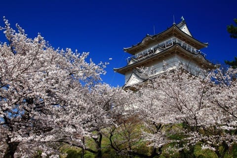 小田原城