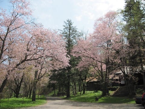 Asahikawa Park