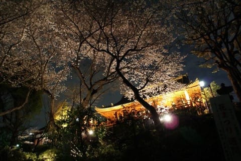 上野公園(清水観音堂)