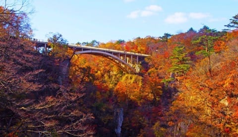 东北JR PASS