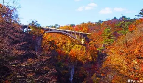 東北JR PASS