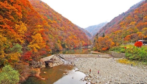 东北JR PASS