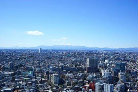神社にお寺も!?渋谷ですべき「都会のそばのローカル」発見ツアー