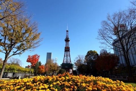 大通公園