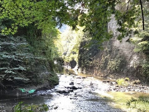 養老渓谷