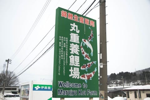 丸重養鯉
