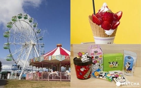 マザー牧場