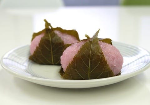 9 Cherry Blossom Flavored Items You Should Try This Spring!