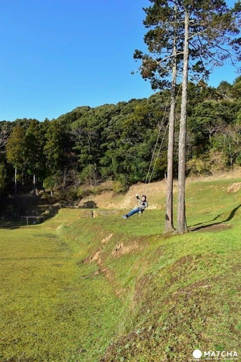 わとや