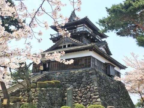 春烂漫!福井县赏樱景点8选